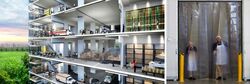 Mandai Foodlink (D25), Factory #571665431
